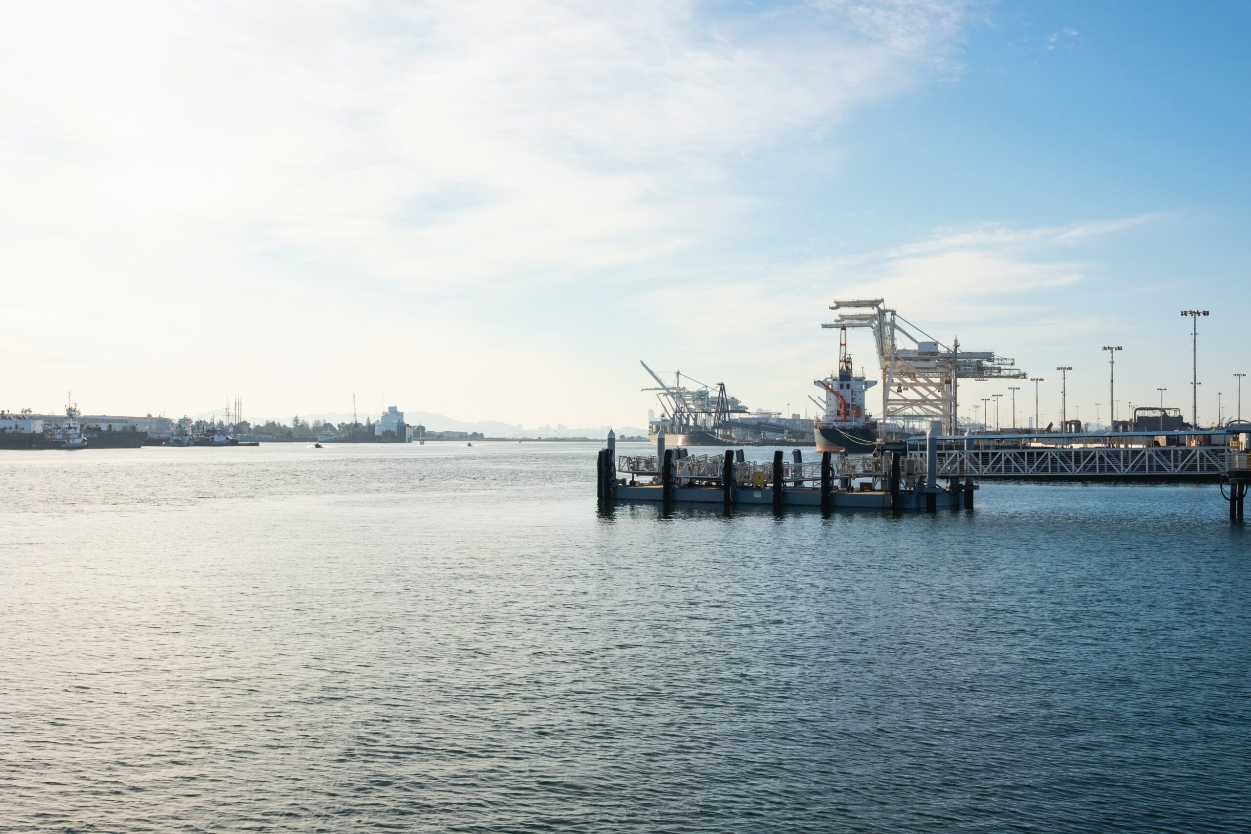 海外輸出ビジネスを始めるには？中小企業が利益を出す方法